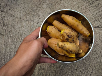 High angle view of person hand holding fruit