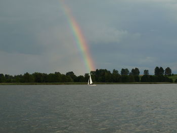 Rainbow over trees against sky