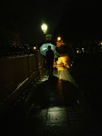 Rear view of man walking on illuminated city at night