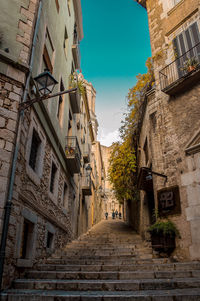 Low angle view of alley amidst buildings in city