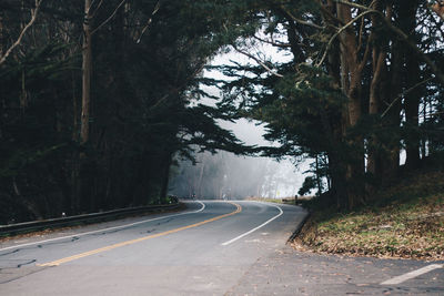 Empty road along trees in forest