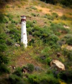 Lighthouse on grass