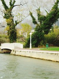 Bridge over river against trees