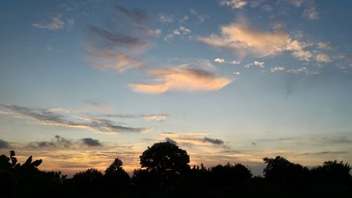 Low angle view of silhouette trees against sky during sunset