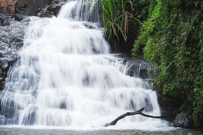 View of waterfall in forest
