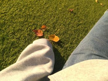 Low section of man wearing shoes on field
