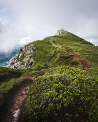 Scenic view of green landscape and sea against sky