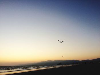 Silhouette birds flying against clear sky