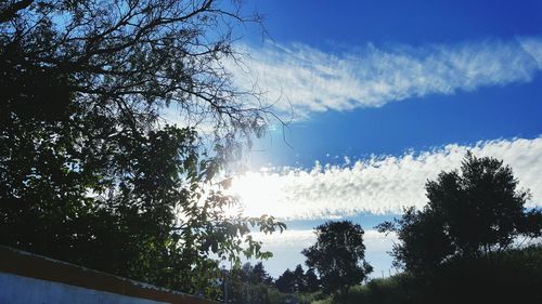 Trees on landscape against cloudy sky