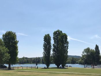 Trees on field against sky