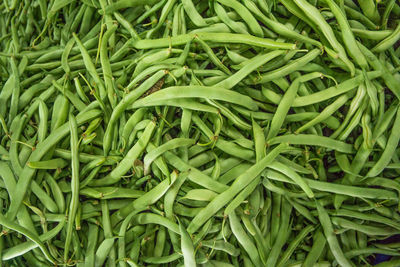 High angle view of vegetables for sale at market