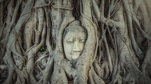 Statue of buddha amidst tree