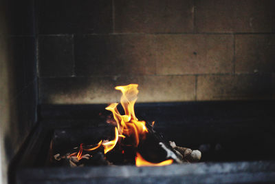 Close-up of burning fire on floor