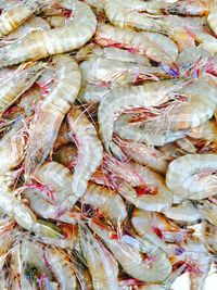 Full frame shot of shrimps for sale in market