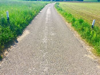 Road passing through agricultural field
