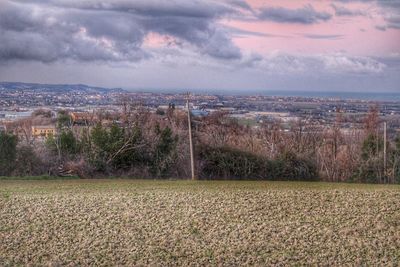 Scenic view of field against sky