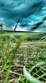 Scenic view of grassy field against cloudy sky