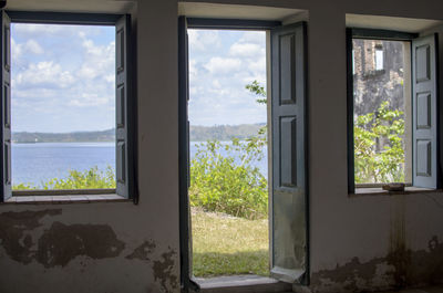 Plants seen through window of house