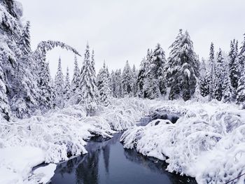 Frozen river against sky during winter