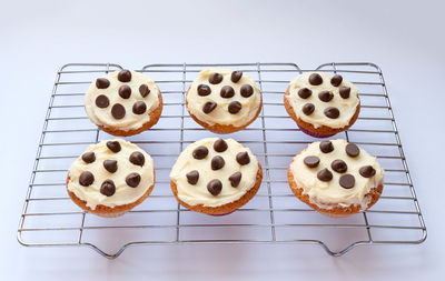 High angle view of cupcakes against white background