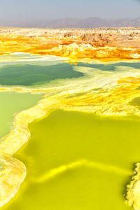 Close-up of yellow water on land against sky