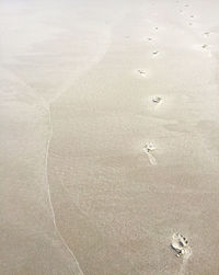 Footprints on sandy beach