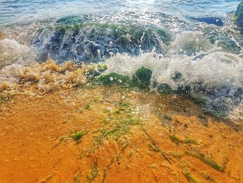 High angle view of beach