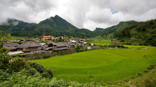 Scenic view of field and houses against sky