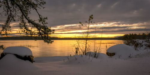 Scenic view of snow covered trees against sky during sunset