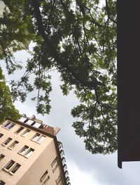 Low angle view of building against sky