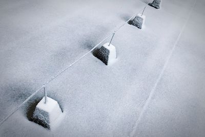 High angle view of horse on snow