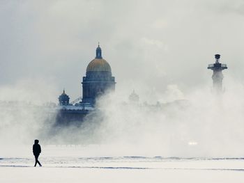 Rear view of man against sea against sky