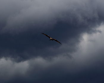 Low angle view of cloudy sky