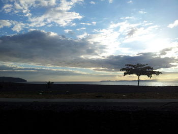 Silhouette trees on landscape against sky at sunset