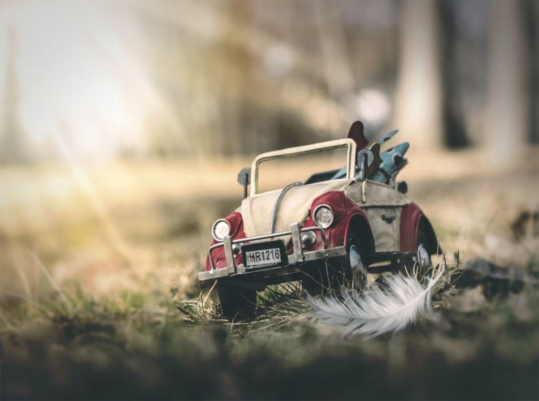 selective focus, toy, toy car, mode of transportation, land, transportation, field, car, day, motor vehicle, nature, plant, land vehicle, childhood, outdoors, grass, close-up, surface level