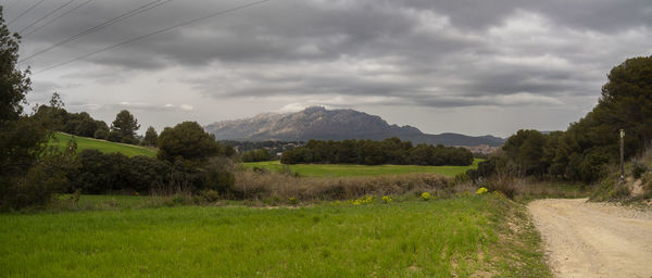Scenic view of landscape against sky