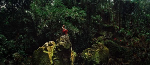Man sitting on rock formation against trees at forest
