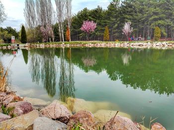 Scenic view of lake by trees against sky