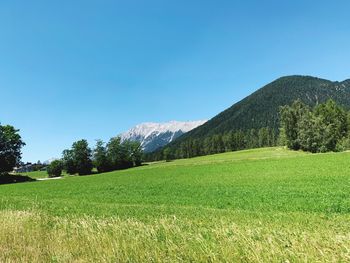 Scenic view of field against clear blue sky