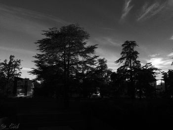 Low angle view of trees against sky