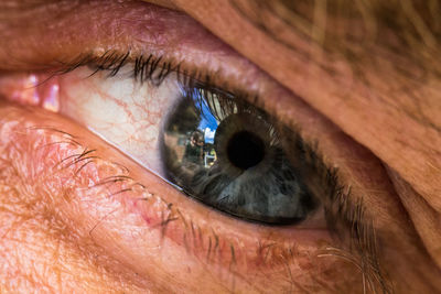 Close-up of gray human eye