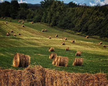 Hay bales on field against sky