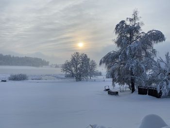 Trees on snow covered field against sky during winter