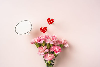 Close-up of pink rose flower against white background