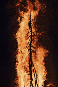 Low angle view of fire on field at night