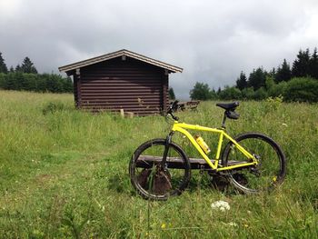 Trees on grassy field against cloudy sky