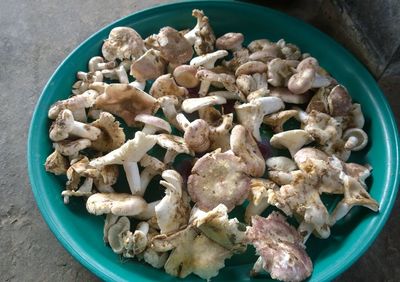 High angle view of mushrooms in bowl on table