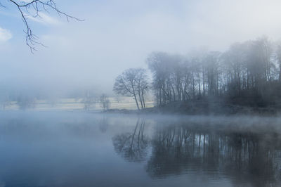 Reflection of trees in lake