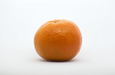 Close-up of orange fruit against white background