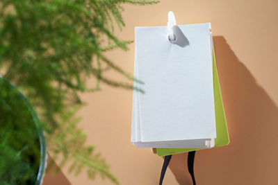 Top view of blank note pad with houseplant against orange background